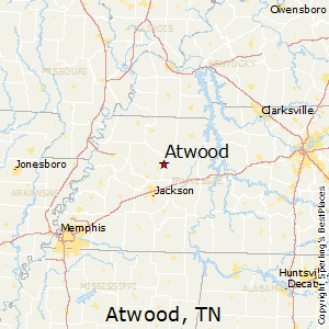 Best Places to Live in Atwood, Tennessee