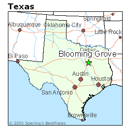 Blooming Grove, Texas Rankings