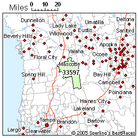 frye webster zip high