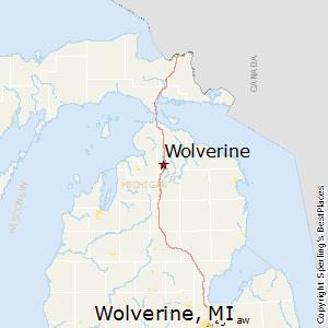 Best Places to Live in Wolverine, Michigan