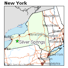 Best Places to Live in Silver Springs, New York