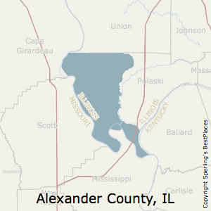 county alexander illinois estate real il