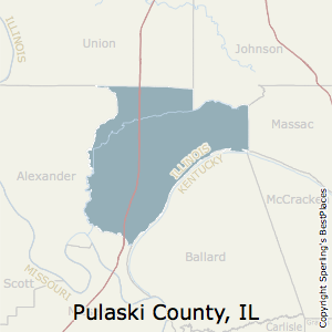 pulaski county illinois estate real