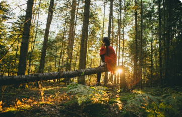 Places with the Highest Comfort Rating