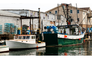 Loud Boat Greg Really Weird Online Review Of Portland Maine