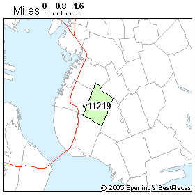 11219 Zip Code Map People In Zip 11219 (New York, Ny)