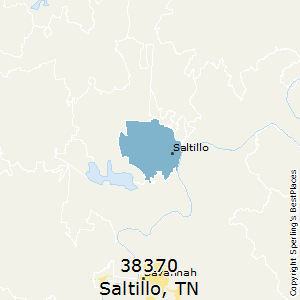 Saltillo (zip 38370), TN
