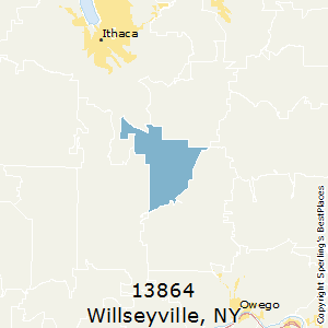 https://www.bestplaces.net/images/zipcode/ny_willseyville_13864.png